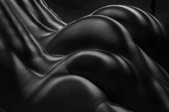 Human Zebra Curves