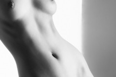 Body shapes 3