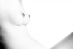 Body shapes