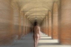 Daylight dreamer in light