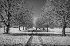 Dyrham-Park_