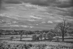 Malmesbury-WalksDSC_194500003May-06-2019-Edit
