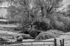Malmesbury-WalksDSC_194900007May-06-2019-Edit