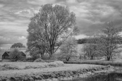 Malmesbury-WalksDSC_195100008May-06-2019-Edit