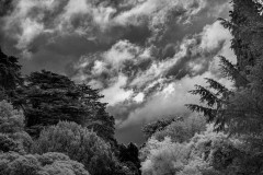 Walking-into-the-storm