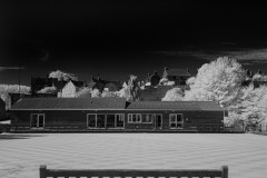 untitledDSC_206900003August-26-2019-Edit-Edit