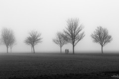 Foggy morning at Badminton