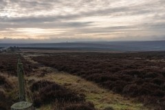Yorkshire Moors