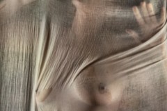 Wrapped 1