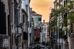 Venice 7