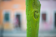Venice 20